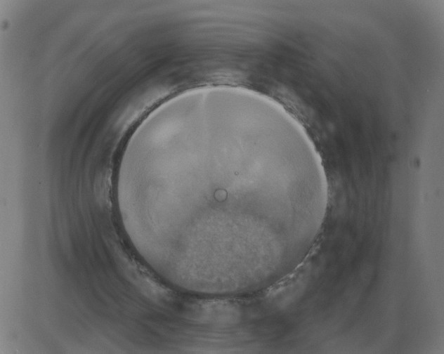 X0000087410146200705181406