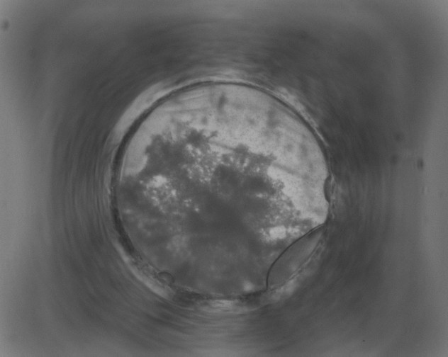 X0000087410151200705181406