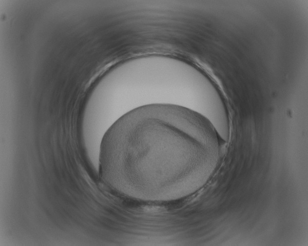 X0000087410154200705181406