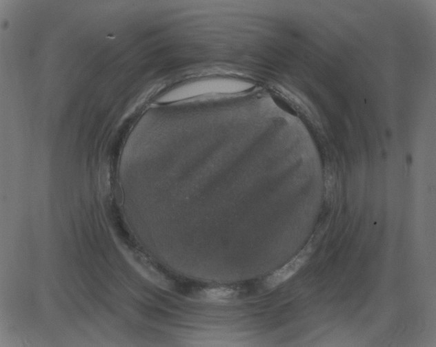 X0000087410158200705181406