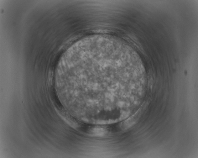 X0000087410171200705181406