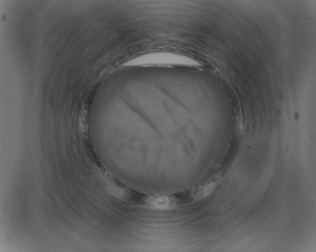 X0000087410181200705181407