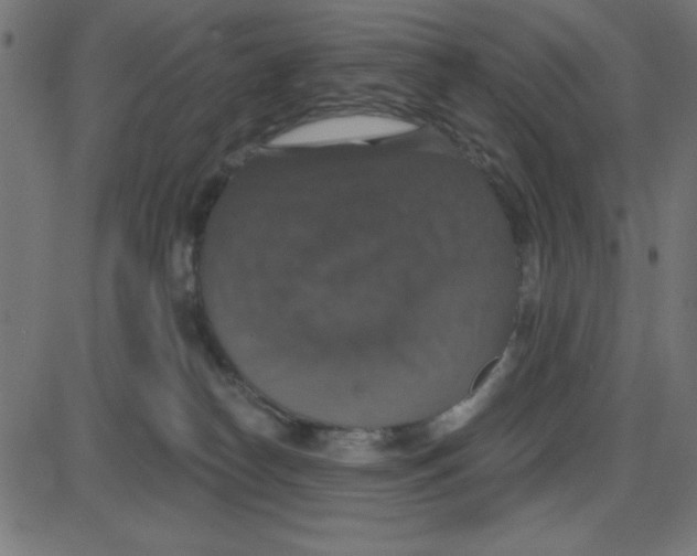 X0000087410182200705181407