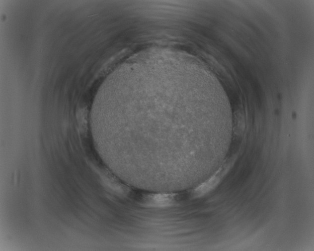 X0000087410184200705181407