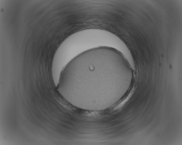 X0000087410186200705181407