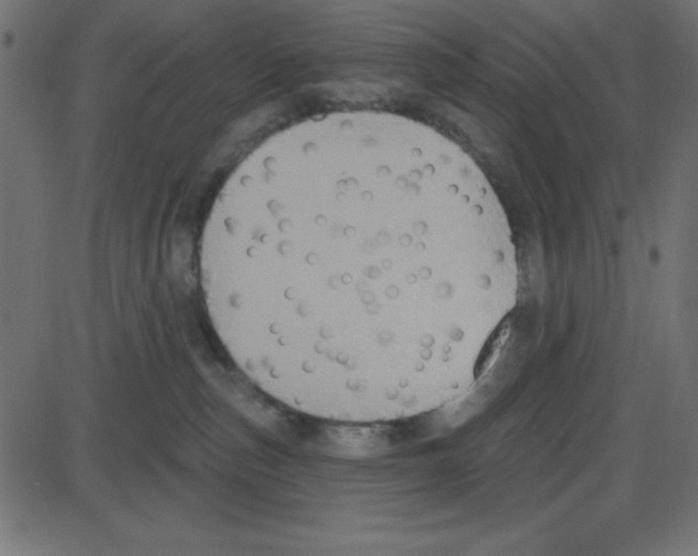 X0000087410187200705181407