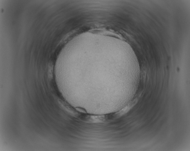 X0000087410188200705181407