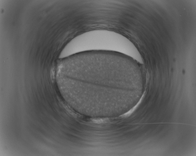 X0000087410190200705181407