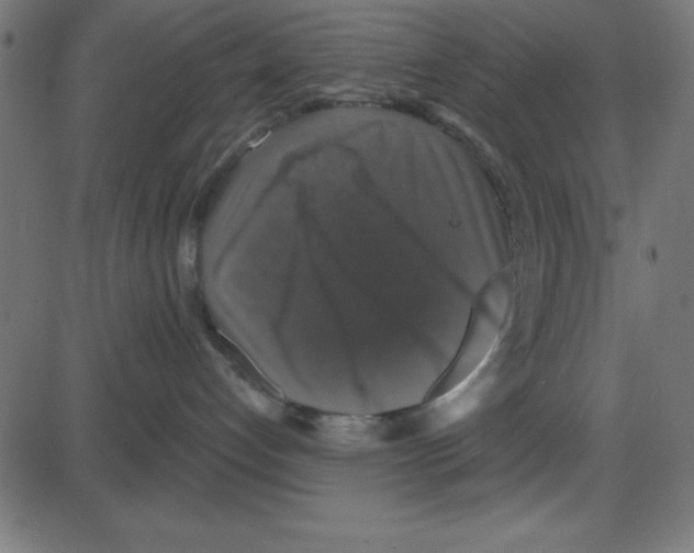 X0000087410192200705181407