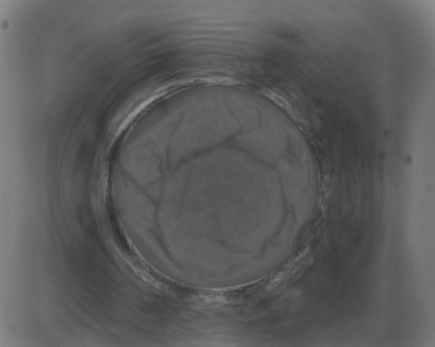 X0000087410194200705181406