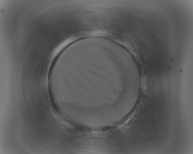 X0000087410196200705181406