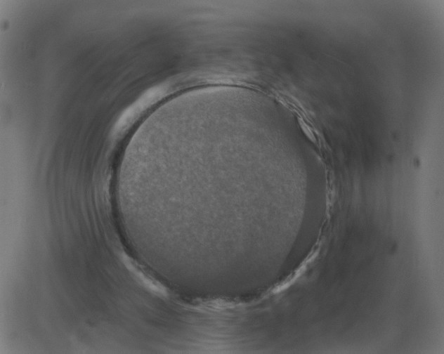 X0000087410197200705181406