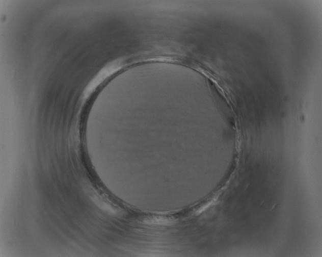 X0000087410198200705181406