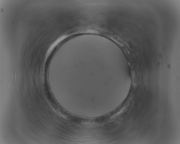 X0000087410200200705181406