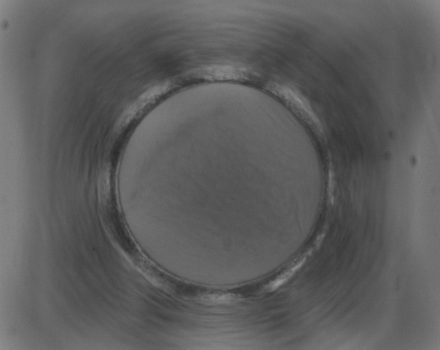 X0000087410202200705181406