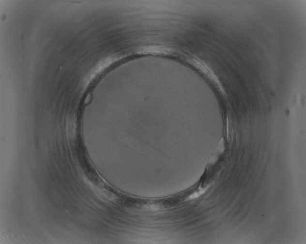 X0000087410204200705181406