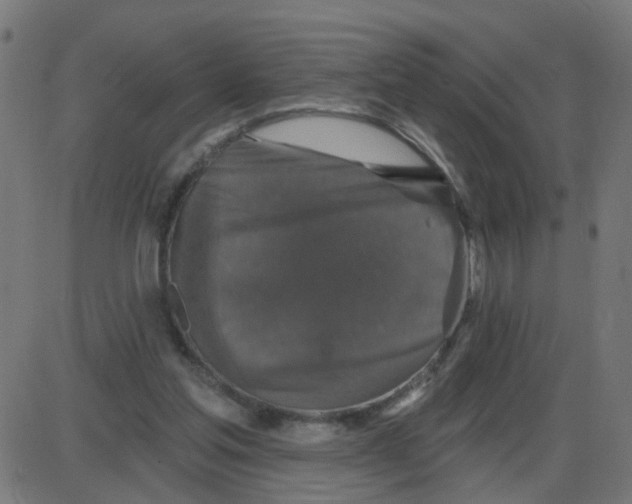 X0000087410205200705181406