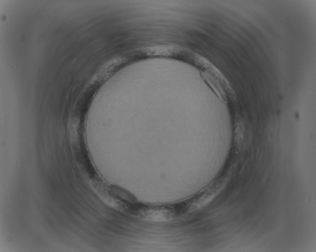 X0000087410209200705181406