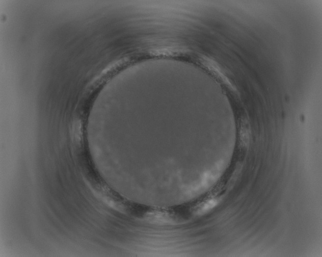 X0000087410211200705181406