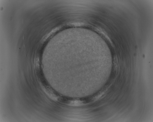 X0000087410212200705181406