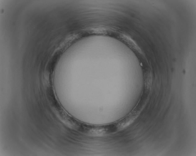 X0000087410213200705181406