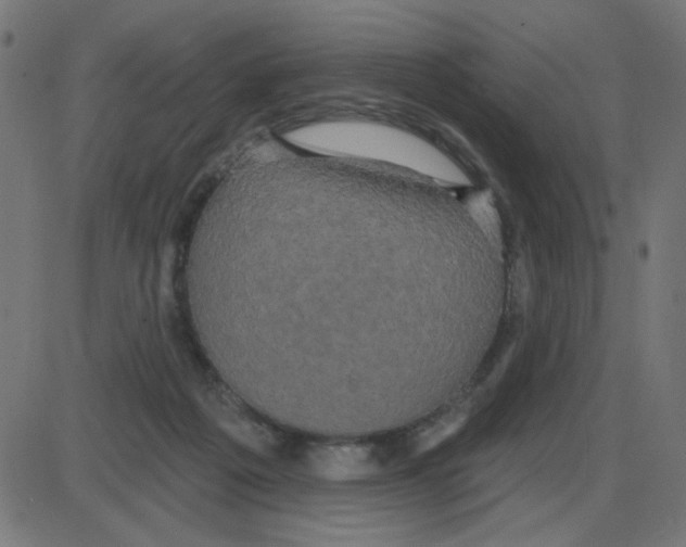 X0000087410217200705181406