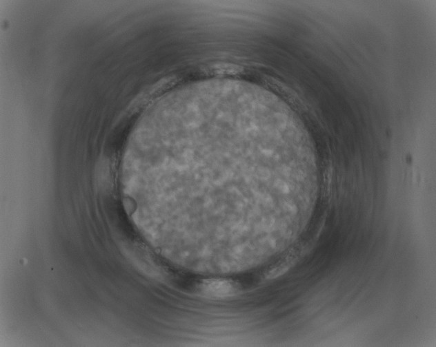 X0000087410218200705181406