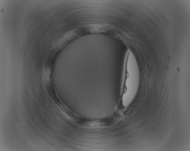 X0000087410219200705181405