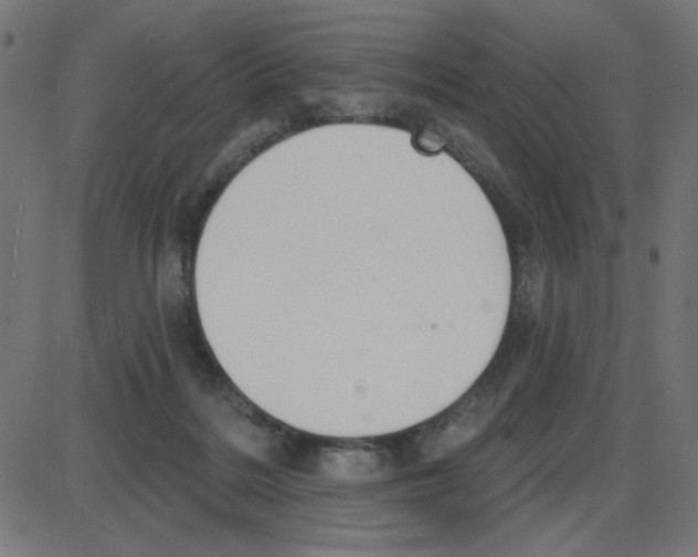 X0000087410220200705181405