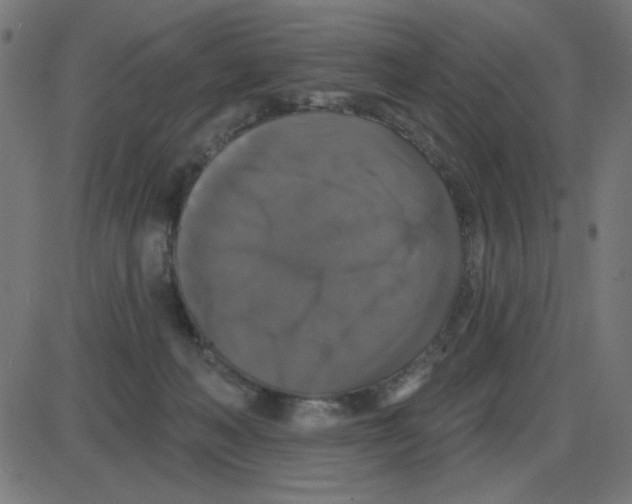 X0000087410222200705181405