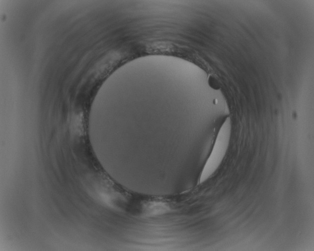 X0000087410224200705181405