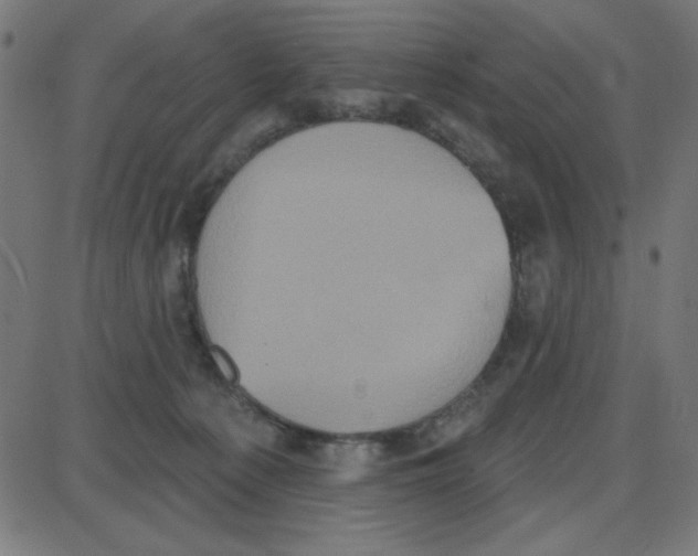 X0000087410225200705181405