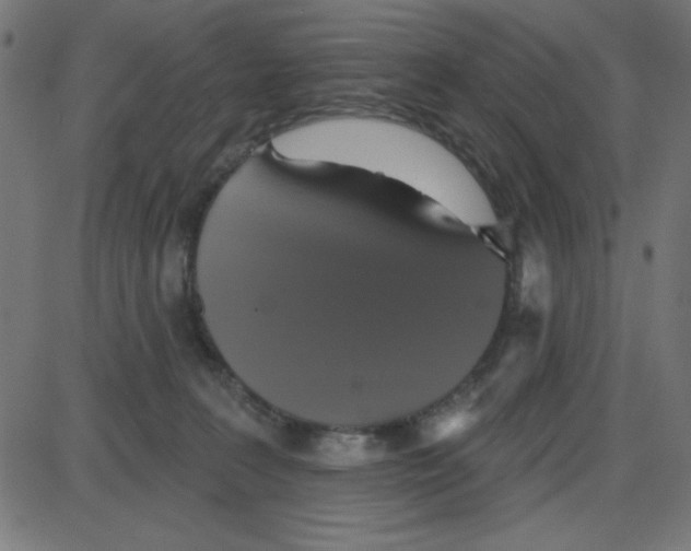 X0000087410227200705181405