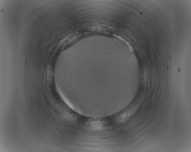 X0000087410228200705181405