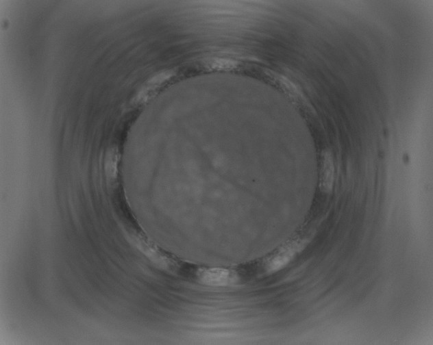 X0000087410230200705181405