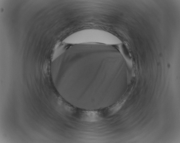 X0000087410233200705181405