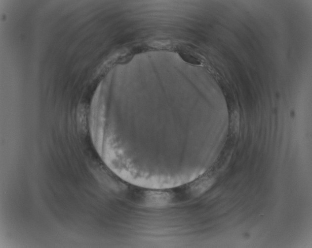 X0000087410234200705181405