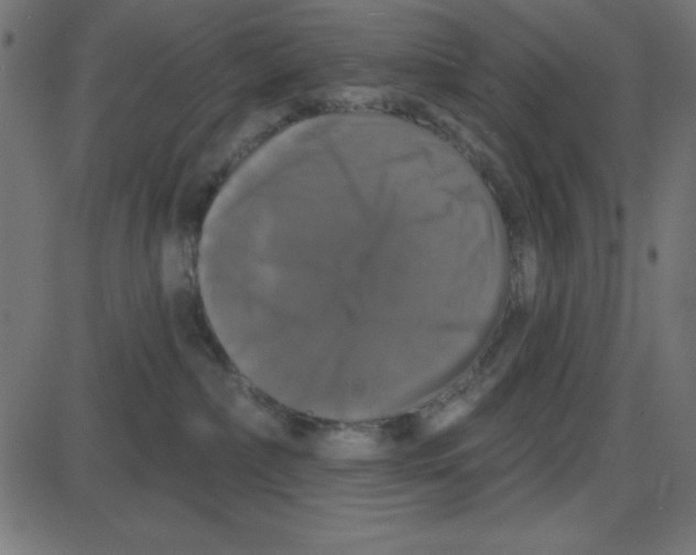 X0000087410236200705181405