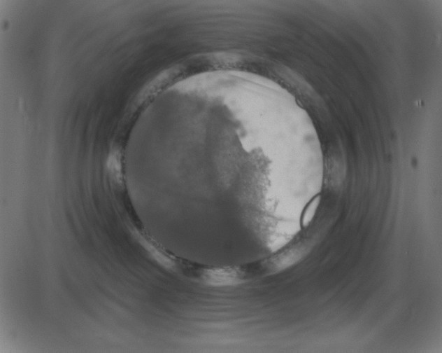 X0000087410238200705181405