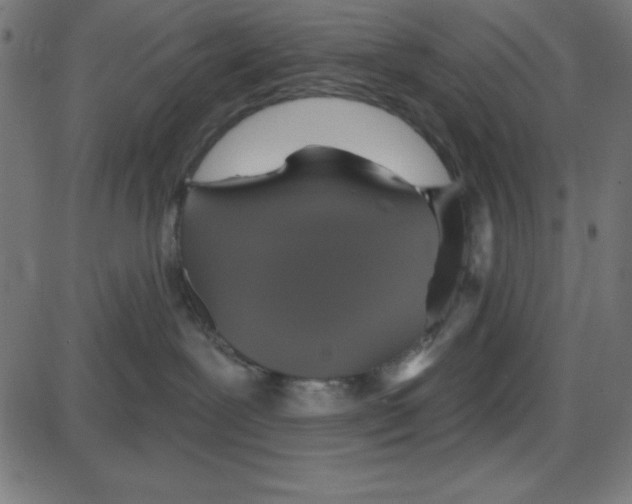 X0000087410239200705181405