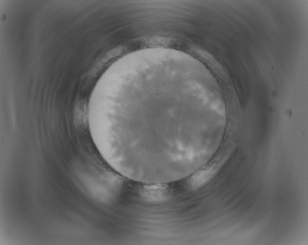 X0000087410240200705181405