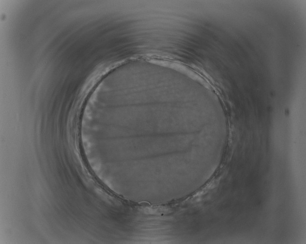 X0000087410241200705181404