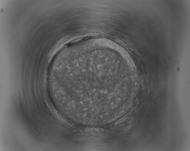 X0000087410242200705181404