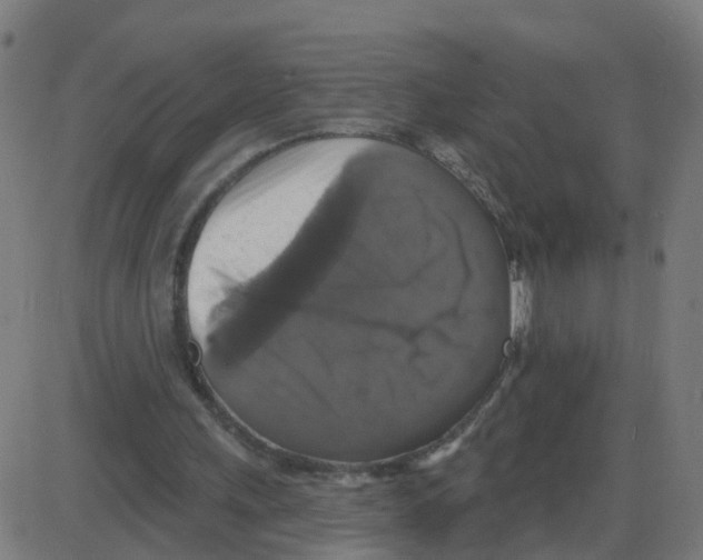 X0000087410243200705181404