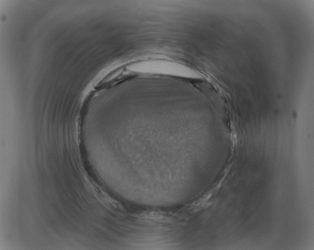 X0000087410244200705181404