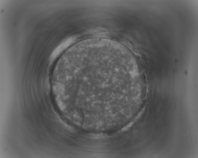 X0000087410245200705181404