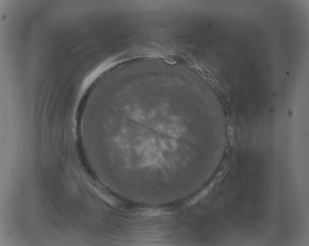 X0000087410246200705181404