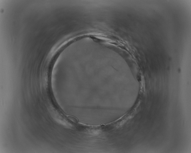 X0000087410247200705181404