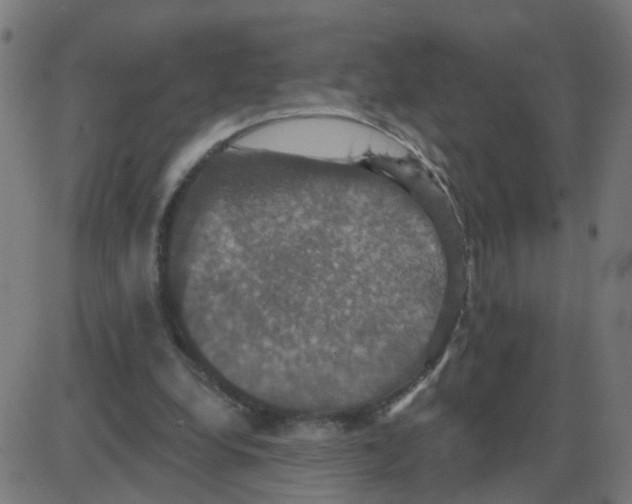 X0000087410248200705181404