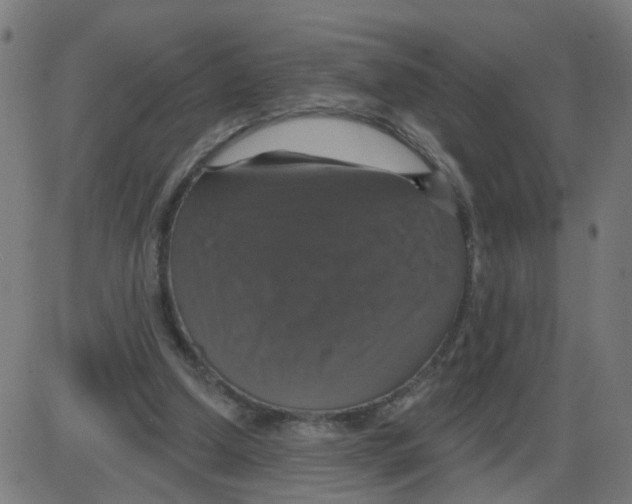 X0000087410250200705181405